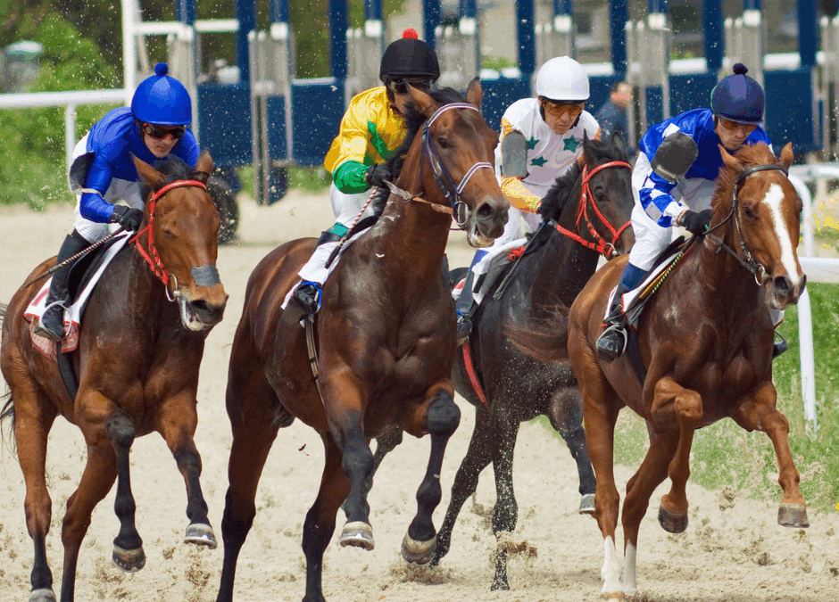 Ep. 3: Feeding Off-Track Thoroughbreds