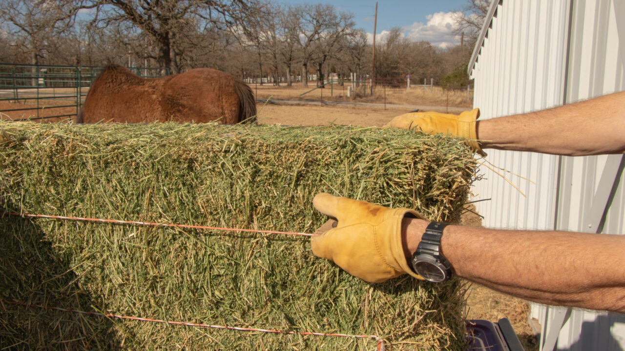 Ep. 1: Hot or Not? The Truth About Feeding Horses Alfalfa - Scoop & Scale