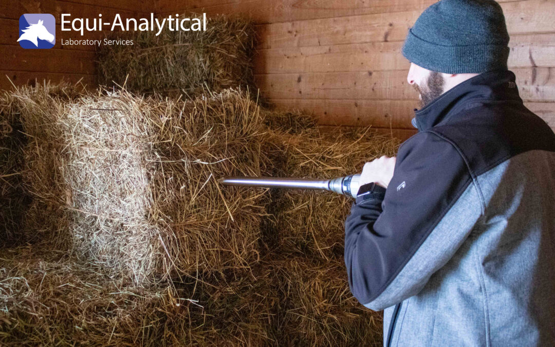 Ep. 19: To Test or Not to Test…the Big Hay Question!