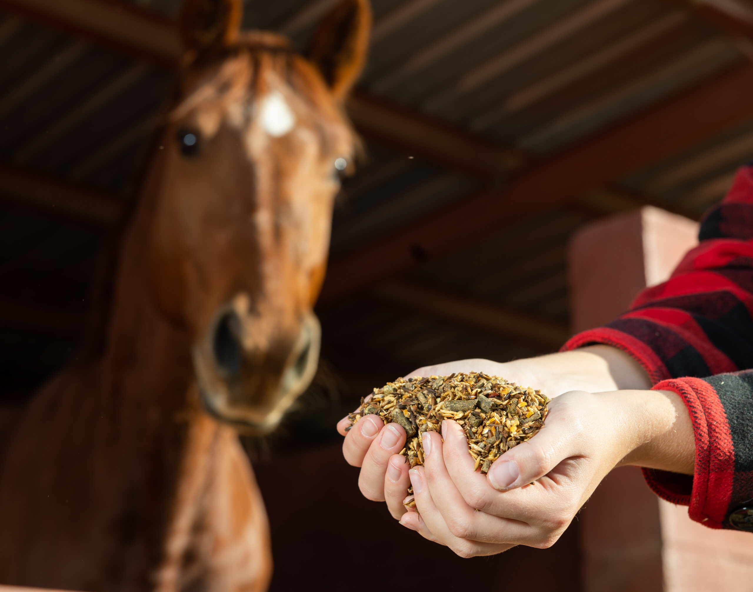 Ep. 25: Equine Nutrition Alphabet Soup and Horse Farts, Oh My!