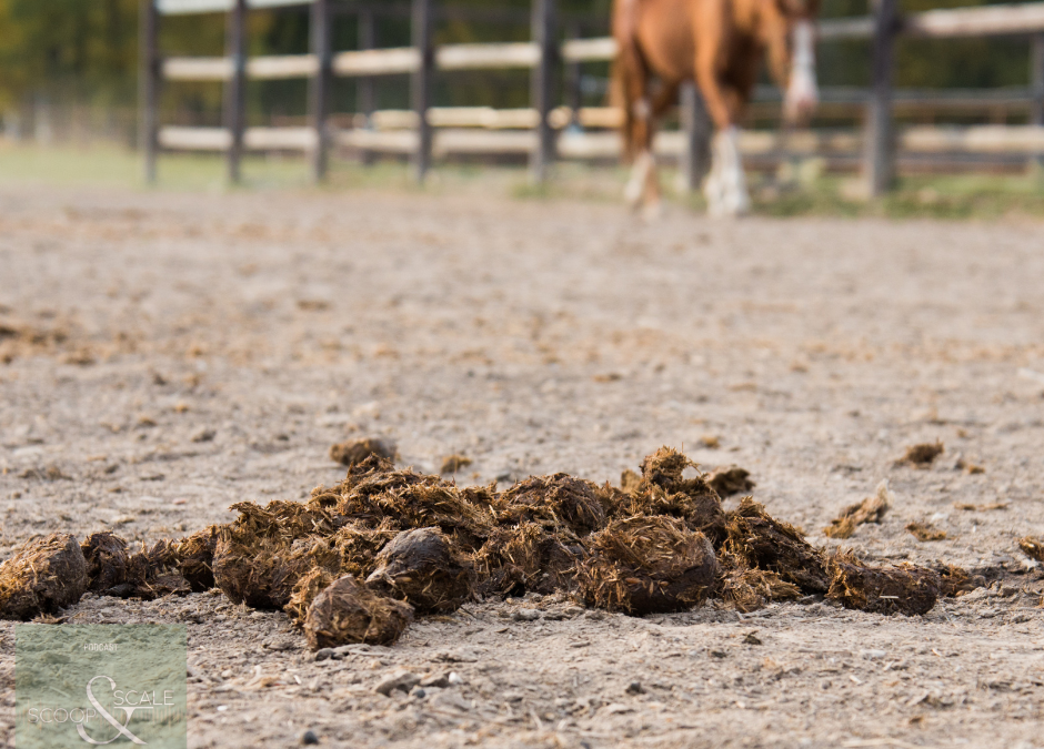 Ep. 29: How Prebiotics, Probiotics and Postbiotics Benefit Horse Health