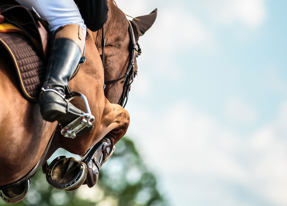 Ep. 28: Feeding Performance Horses in the Summer