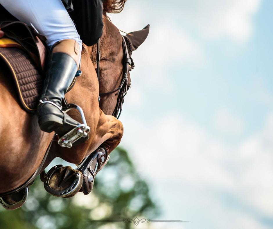 Chestnut horse jumping over fence