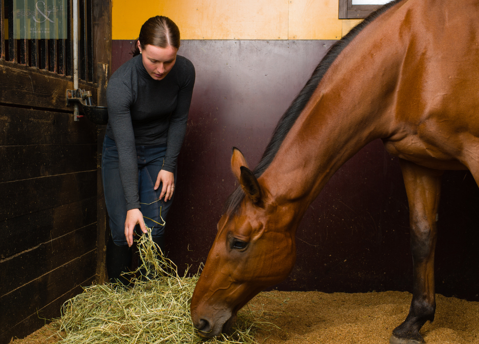 Ep. 30: Understanding Horse Hay