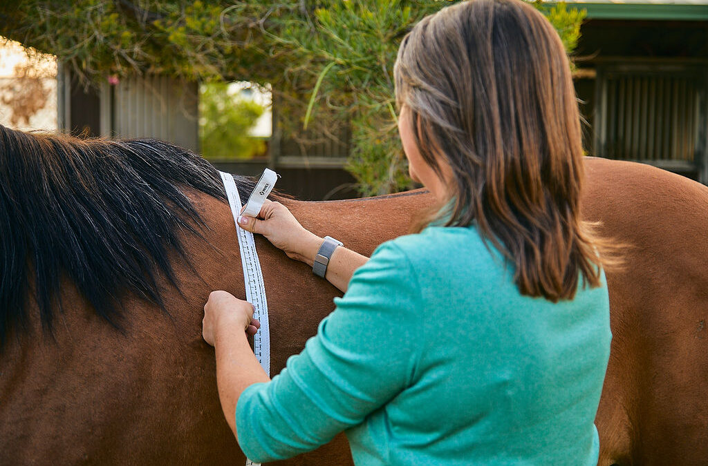 Ep. 38: Body Weight, Condition Scoring and Equine Nutrition