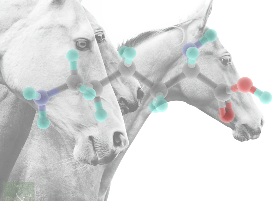 Ep. 37: Protein – Important But Often Misunderstood In Equine Nutrition