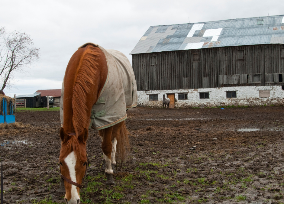 Ep. 43: Sustainable Practices for Managing Mud and Manure