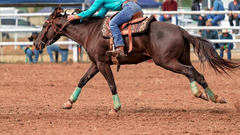 brown horse galloping with rider