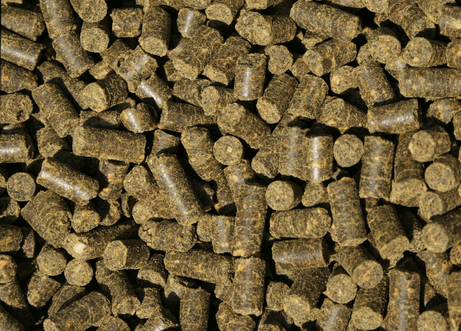 Ep. 55: What to Feed When Hay Isn’t an Option: Hay Pellets & Cubes Explained