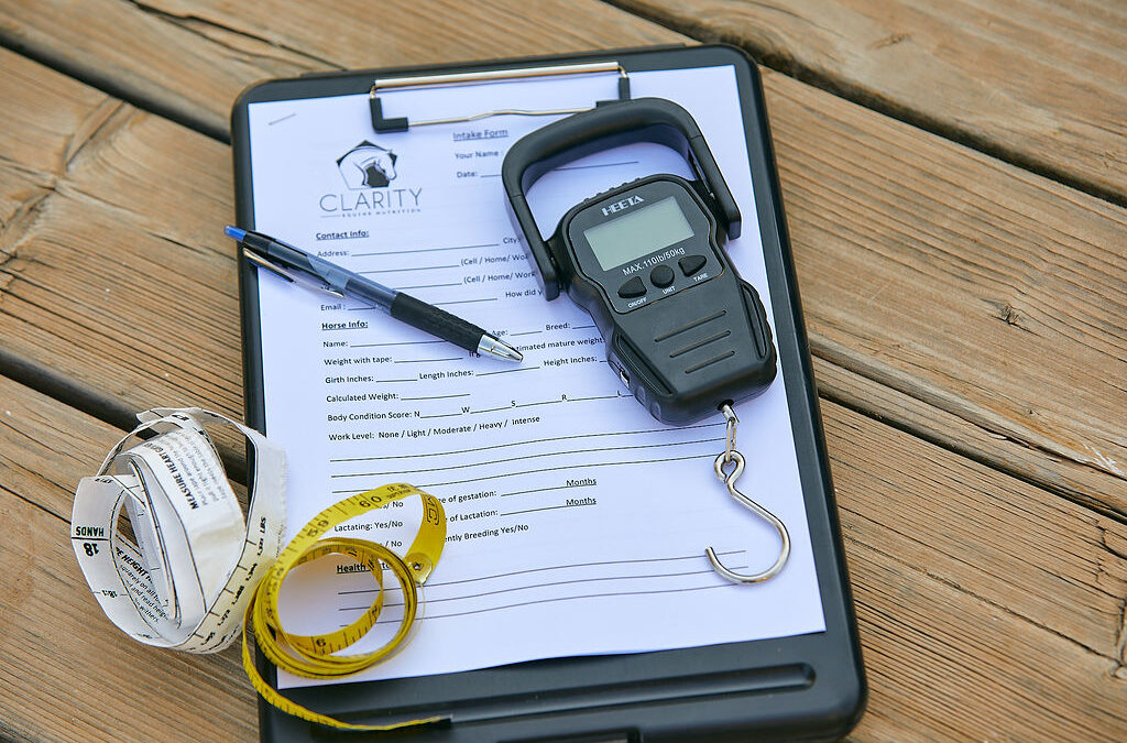 Ep. 57: Not All Equine Nutritionists Are Created Equal: How to Find Qualified Advice