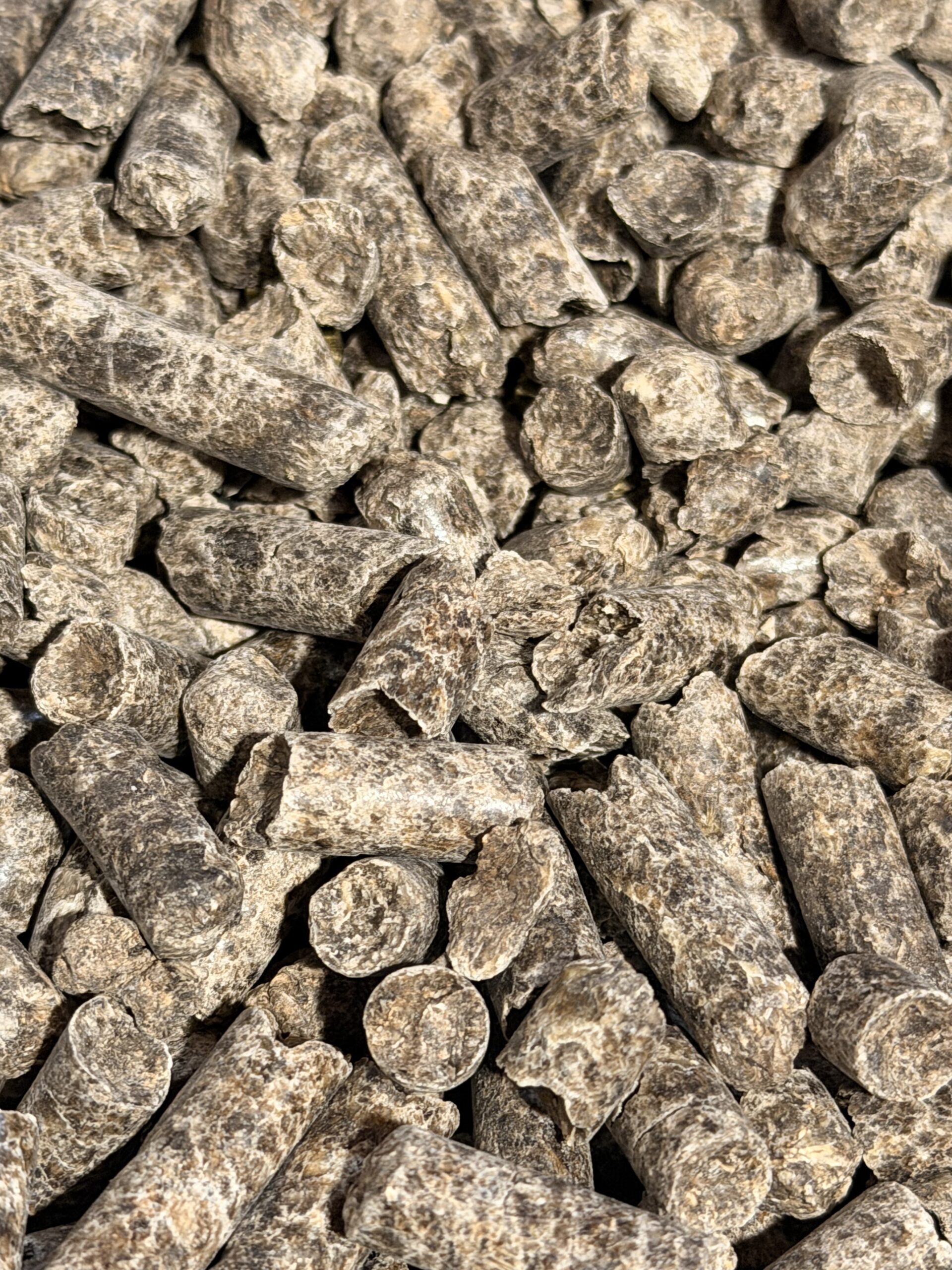 Beet Pulp Pellets