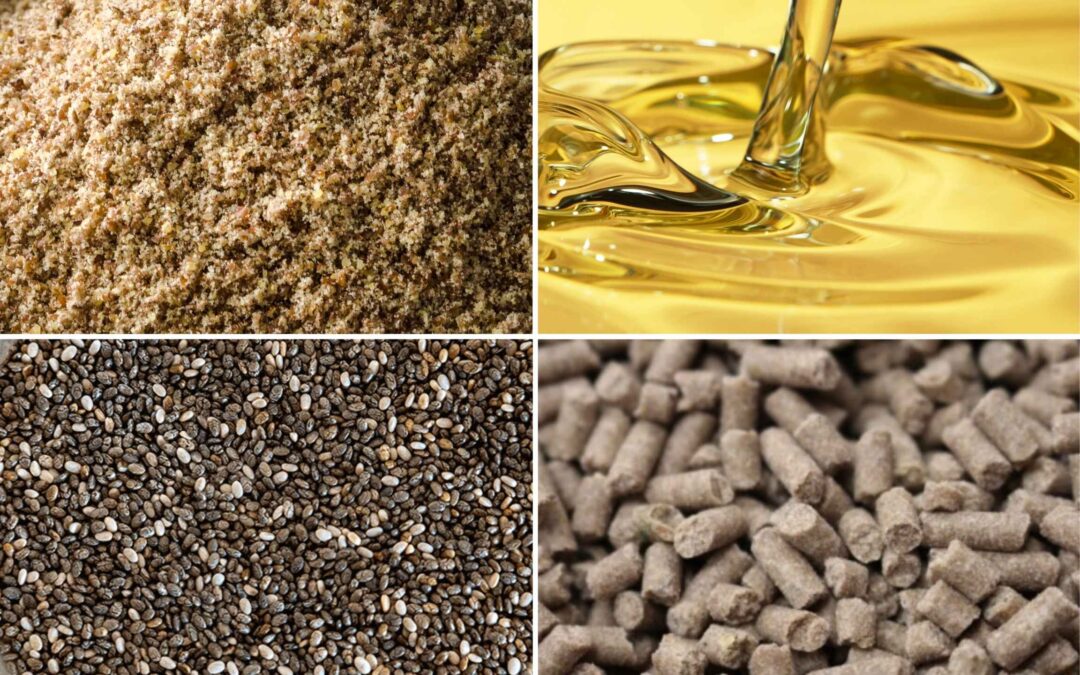 Ep. 64: Feeding Fat Supplements to Horses: Different Types and What to Know