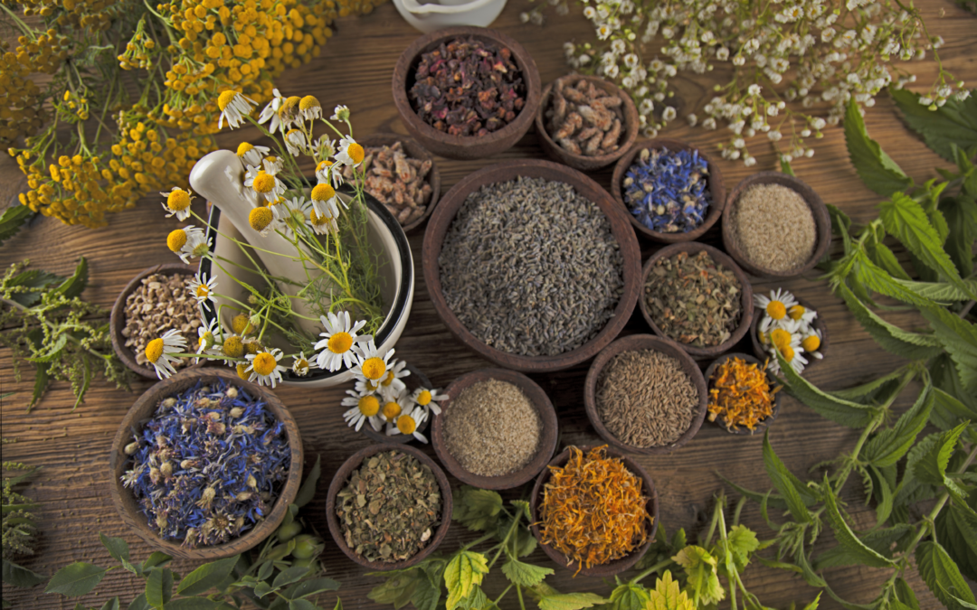 Ep. 67: Herbal Supplements for Horses: Do They Work?