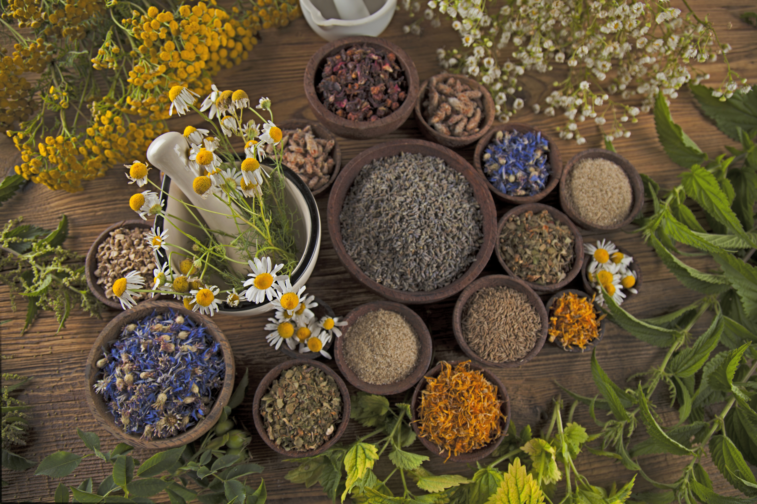 multiple bowls of dried herbs on a wood table