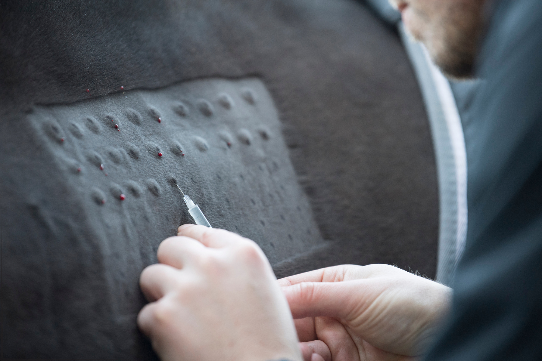 Horse immunotherapy allergy testing