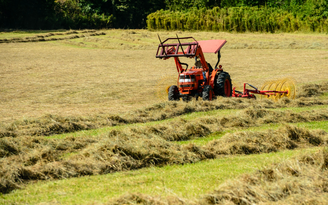 Ep. 77: What’s Really Behind the Cost of Horse Hay?