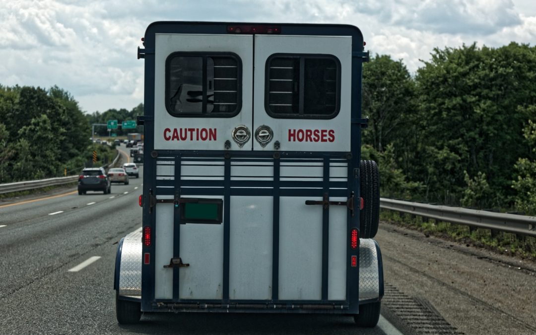 Ep. 78: Traveling with Horses: Trailer Safety, Hydration & Biosecurity
