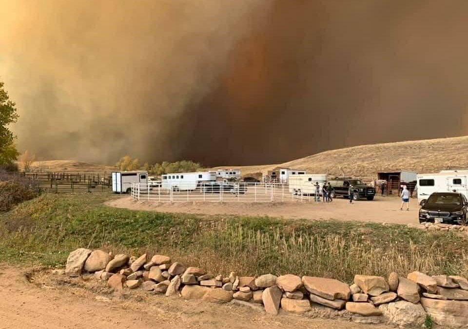 Ep. 79: Horse Emergency Preparedness: Evacuation Planning Before Disaster Strikes