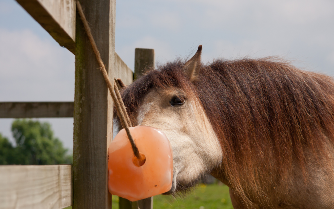 Ep. 81: Horse Salt Explained: How Much, What Kind & When to Use Electrolytes