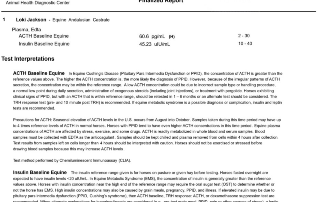PPID & Insulin Results Discussion